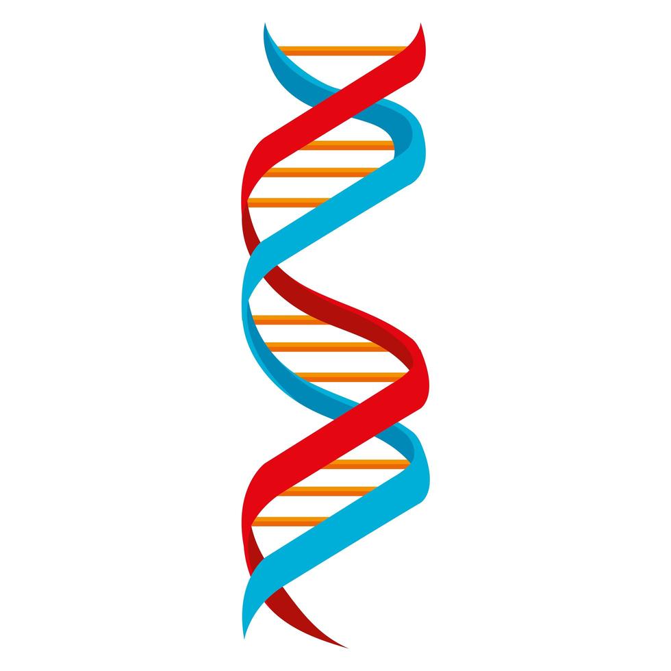 rode dna-molecuul vector