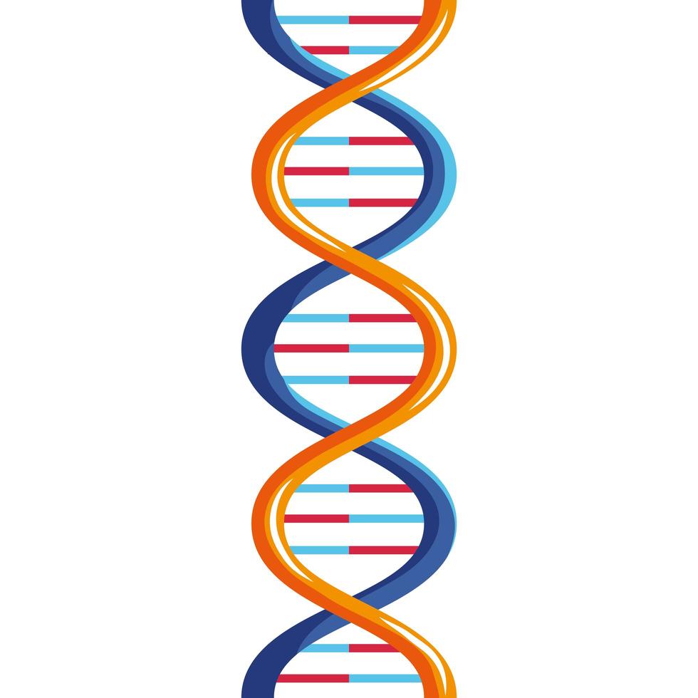 oranje dna-molecuul vector