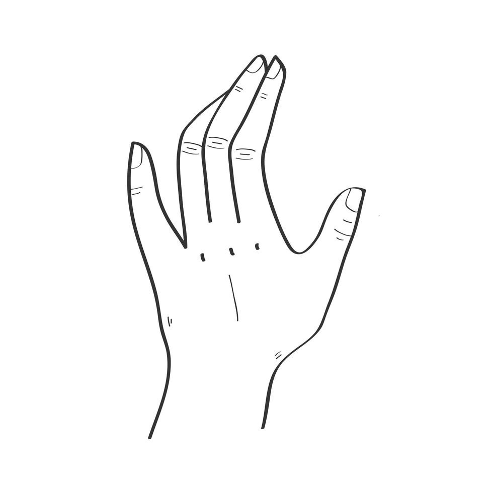 t hand expressie vector