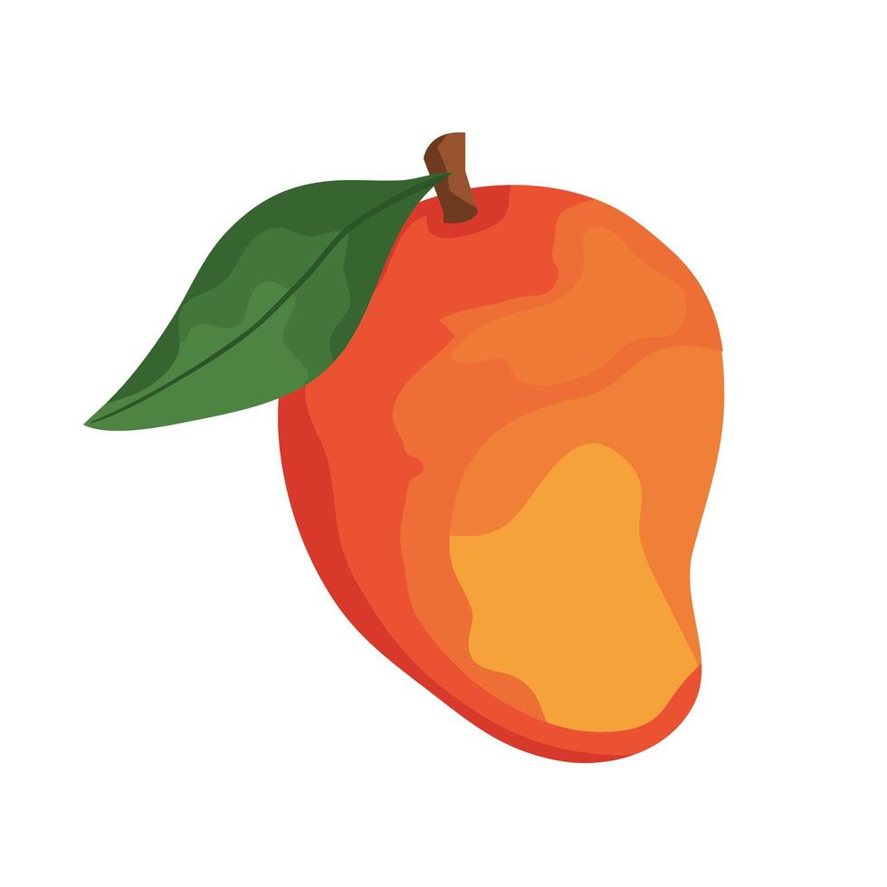 mango vers fruit vector