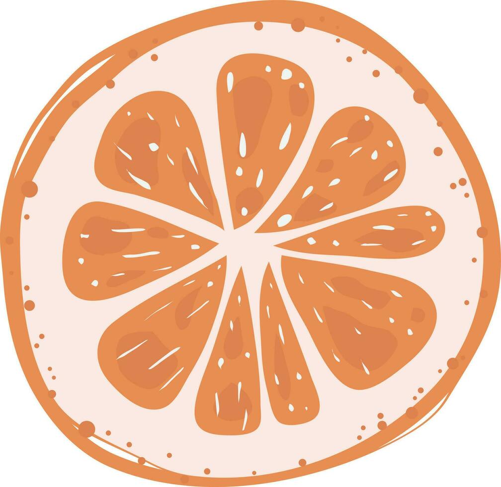 oranje vers fruit natuurlijk illustratie vector