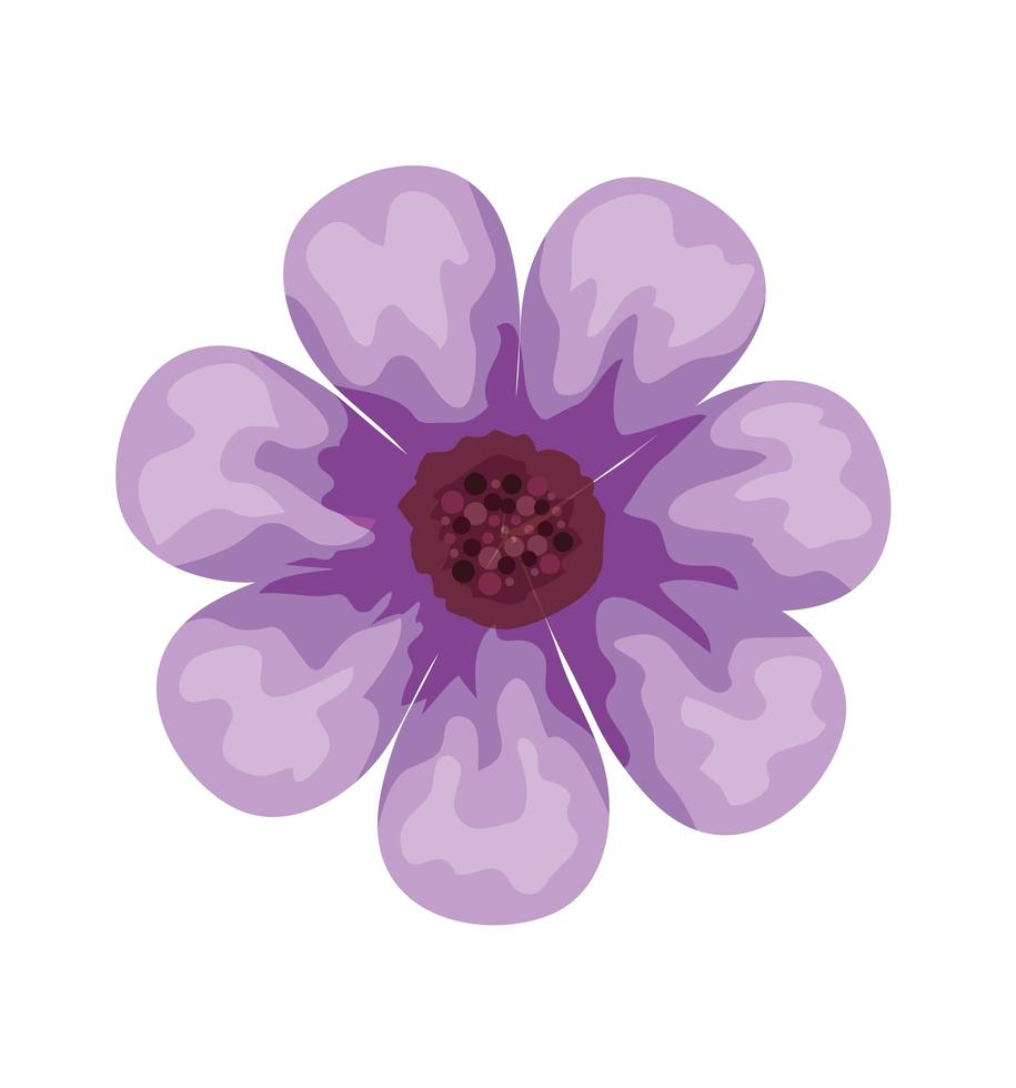 mooie paarse bloem decoratieve pictogram vector