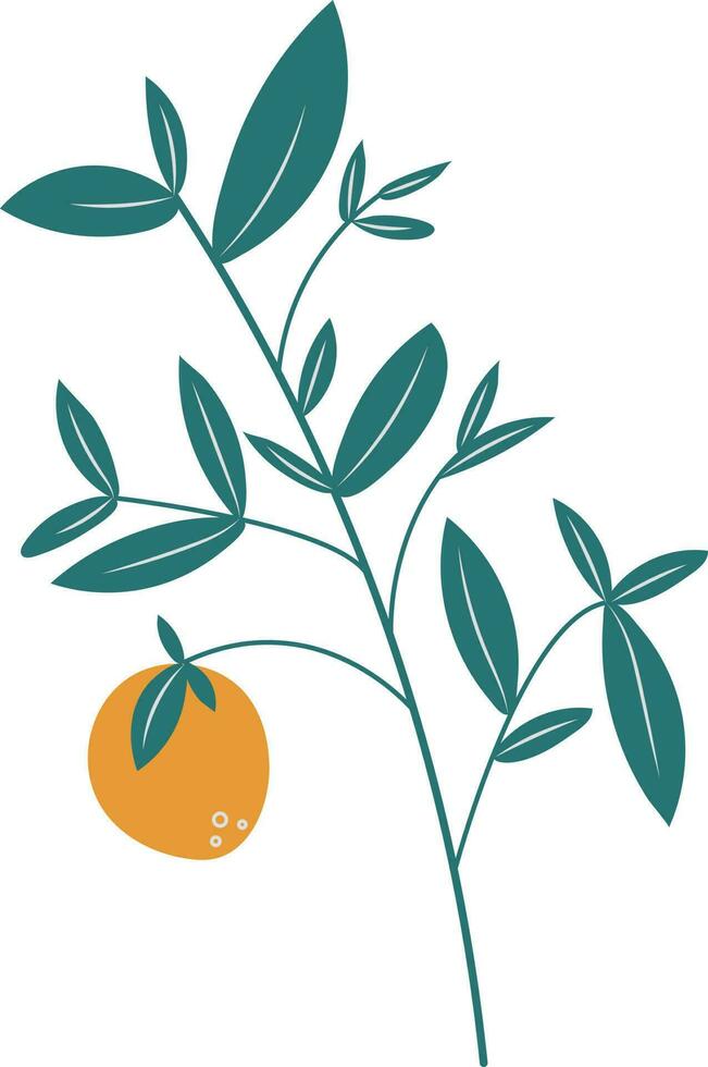 oranje vers fruit natuurlijk illustratie vector