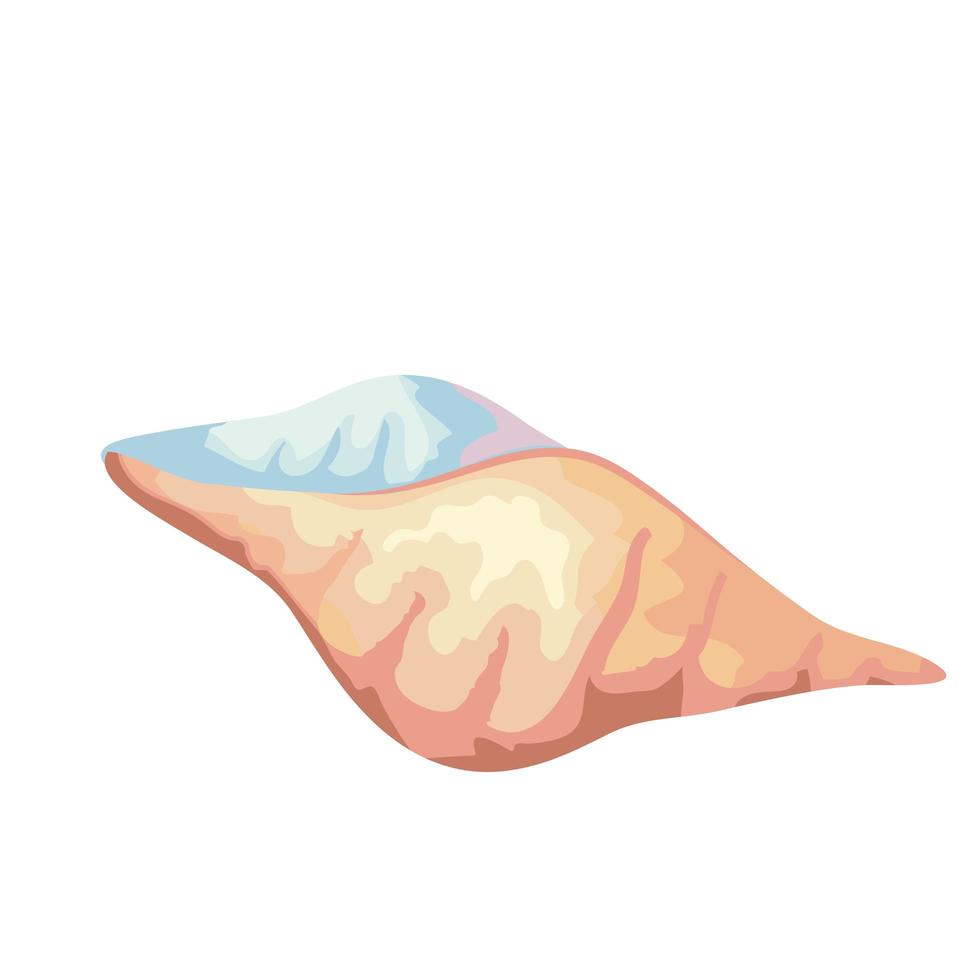 Sea shell kleur geïsoleerde pictogram vector