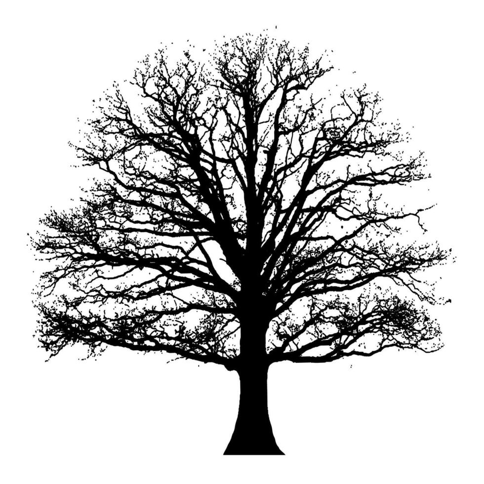 boom silhouet geïsoleerd Aan wit achtergrond. vector illustratie voor uw ontwerp.