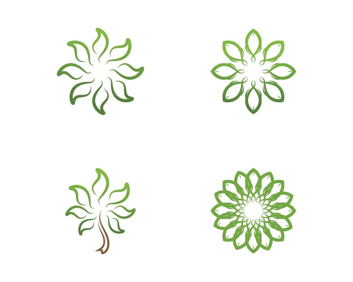 abstract vector set bloemenpatronen op een witte achtergrond