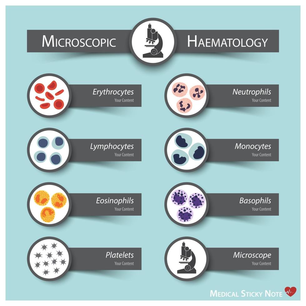 microscopische hematologie medische sticky note stijl beenmerg produceren bloedcellen series erytrocyten lymfocyten neutrofielen monocyten eosinofielen basofielen trombocyten vector