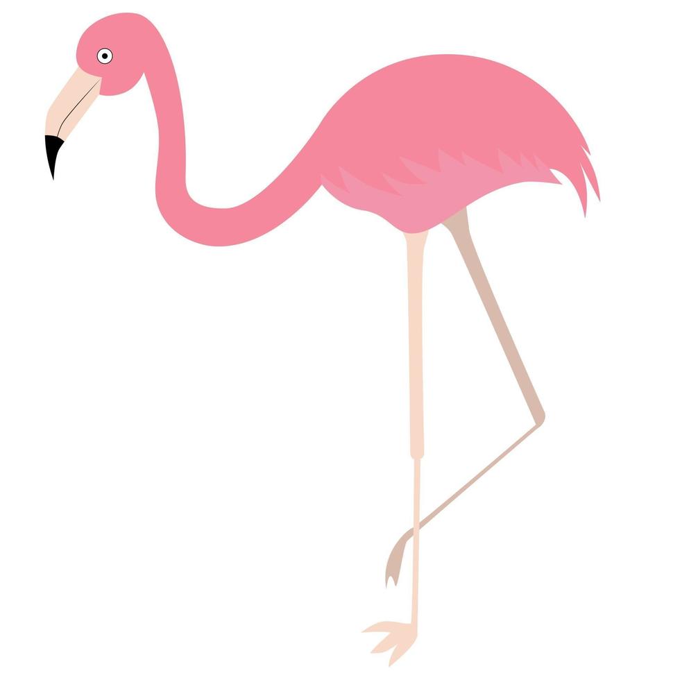 tropische set met blad en flamingo vector