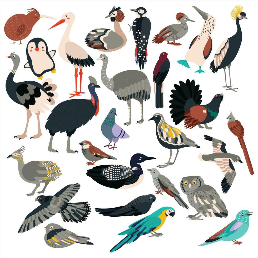 groot reeks van vogels. vlak vector illustratie.