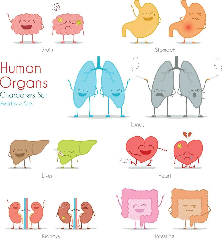 reeks van gezond en ziek menselijk organen in tekenfilm stijl. vector