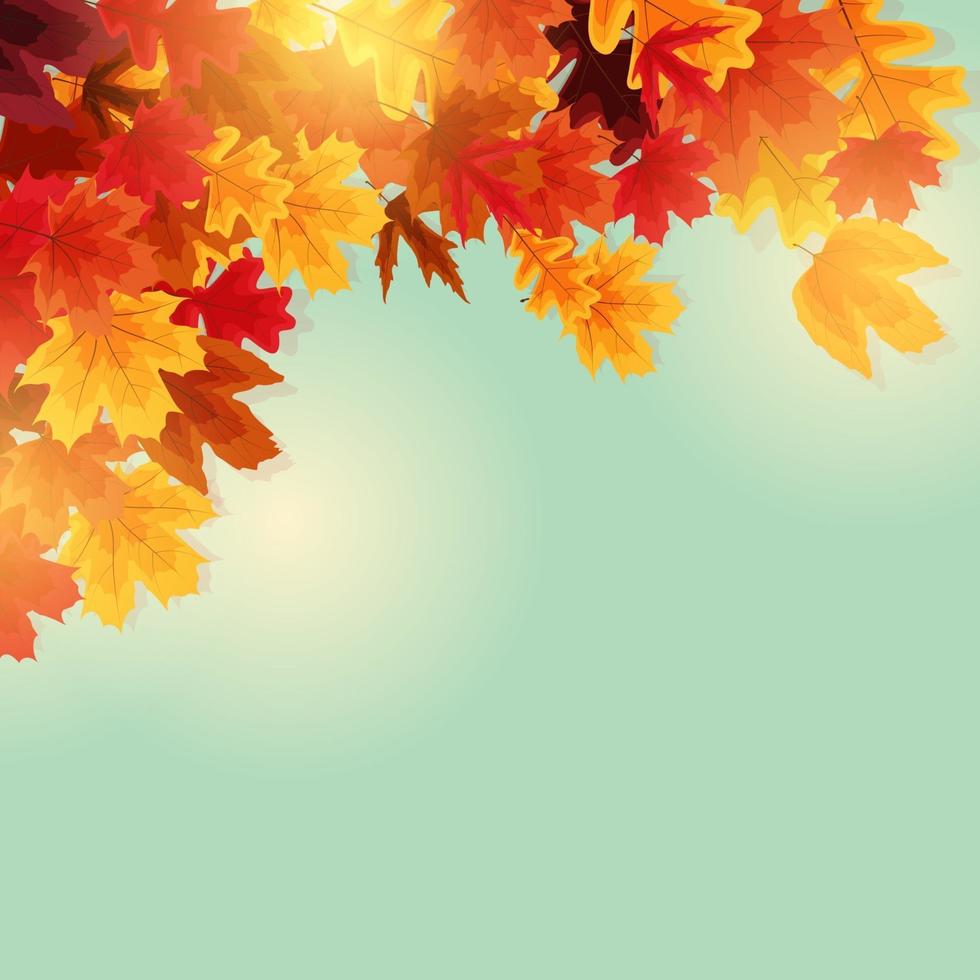 glanzende herfstbladeren banner achtergrond vector