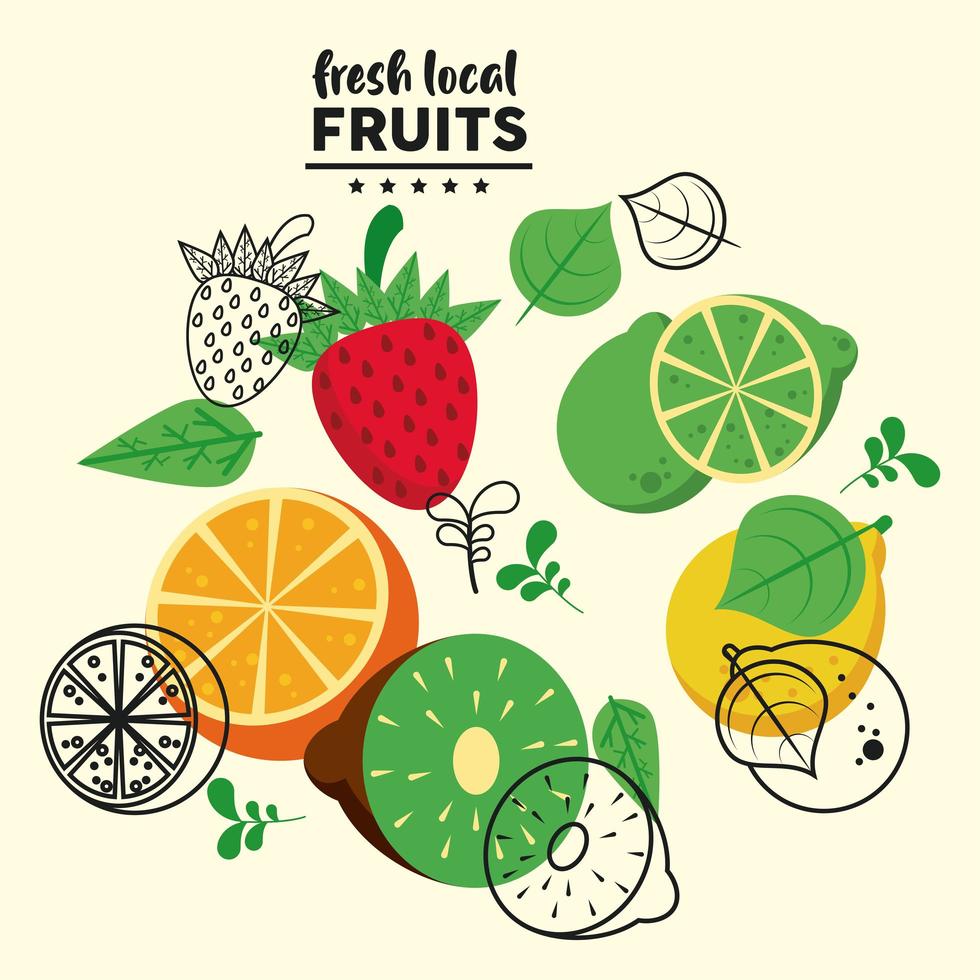 vers lokaal fruit belettering en groepsfruit vector