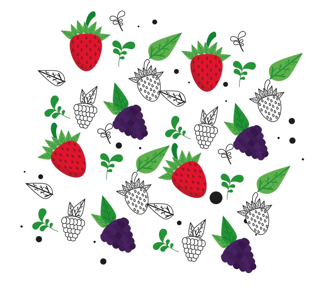 vers lokaal fruit met druiven en aardbeien op witte achtergrond vector