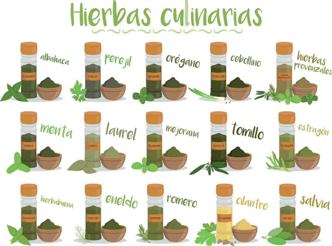 reeks van 15 verschillend culinaire kruiden in tekenfilm stijl. Spaans namen. vector