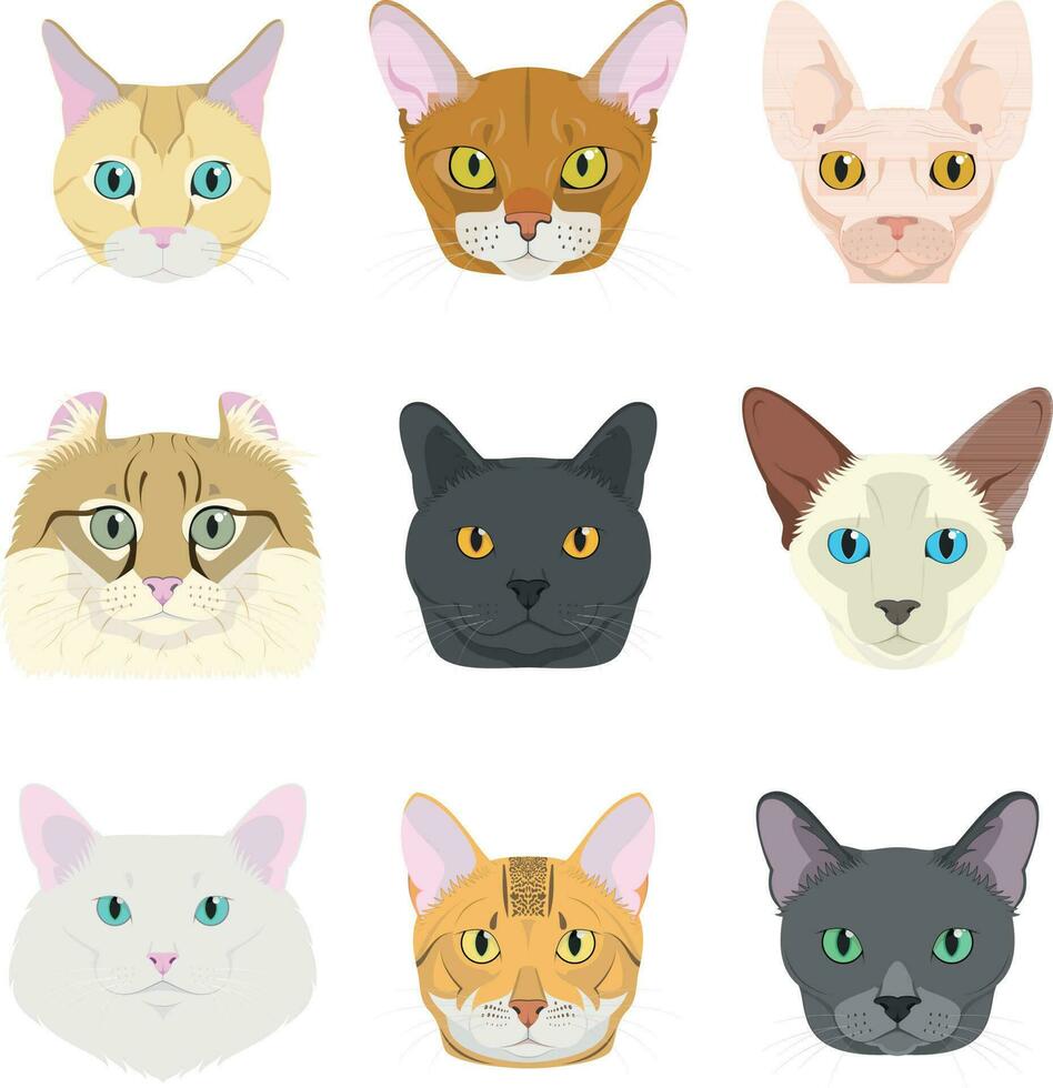 kat rassen vector verzameling. reeks van 9 verschillend kat rassen in tekenfilm stijl.