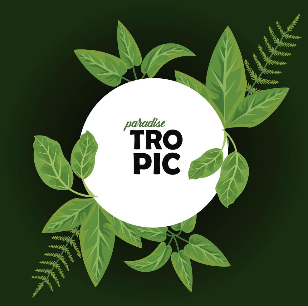 tropic woord in circulaire frame met bladeren planten natuur poster vector