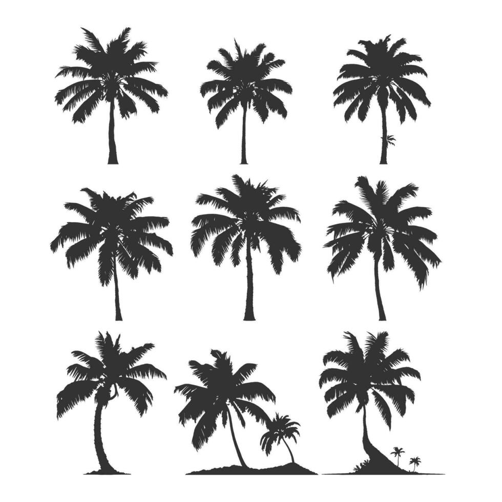 silhouetten van palm bomen, kokosnoot boom in divers vormen vector. een tropisch boom meestal gevonden in kust- gebieden vector