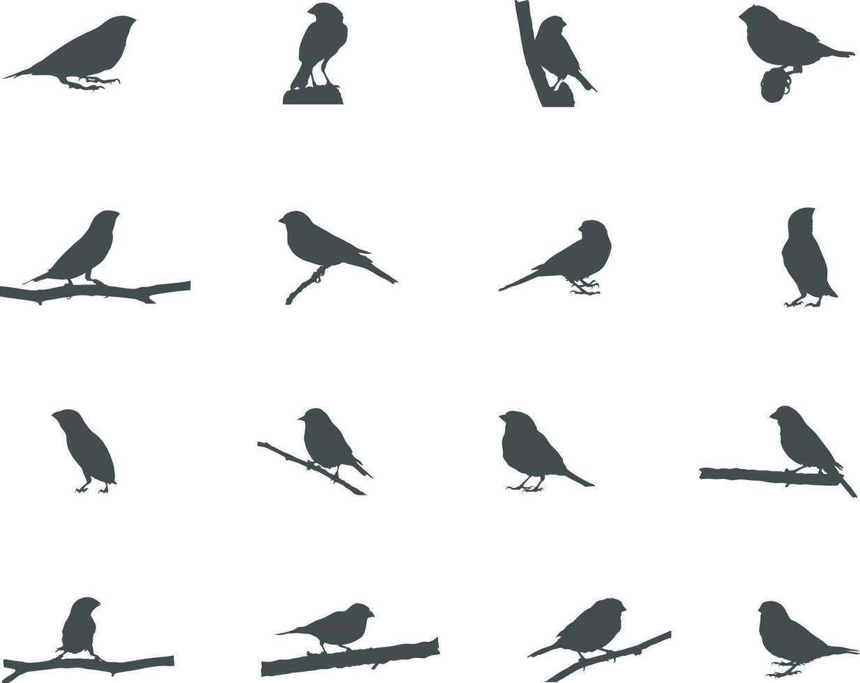 vink silhouet, vink vogelstand silhouet, vink vector illustratie.