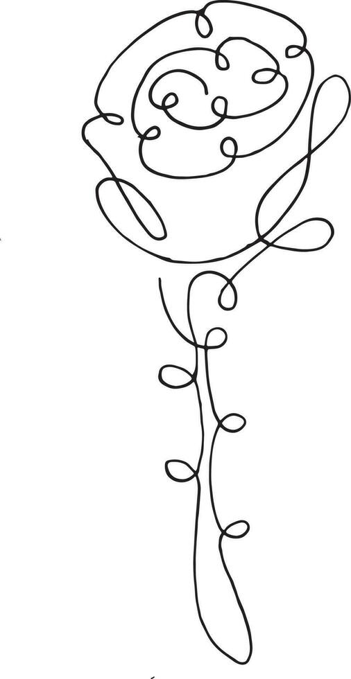 roos bloem, hand- getrokken vector illustratie, bloemen lijn tekening, monochroom bloem, lijn kunst, zwart en wit, vector