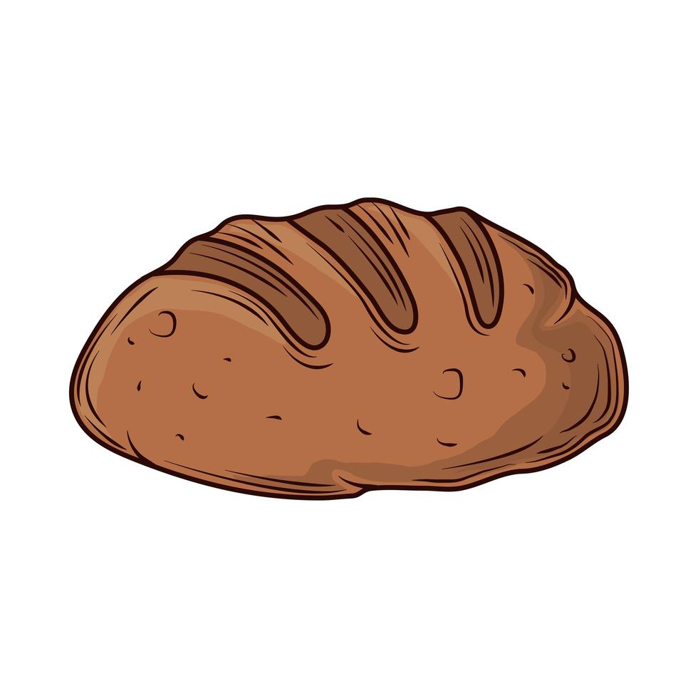 volkorenbroodbrood vector