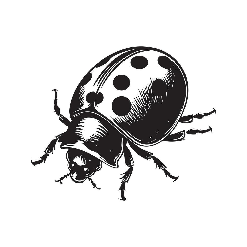 lieveheersbeestje, wijnoogst logo lijn kunst concept zwart en wit kleur, hand- getrokken illustratie vector