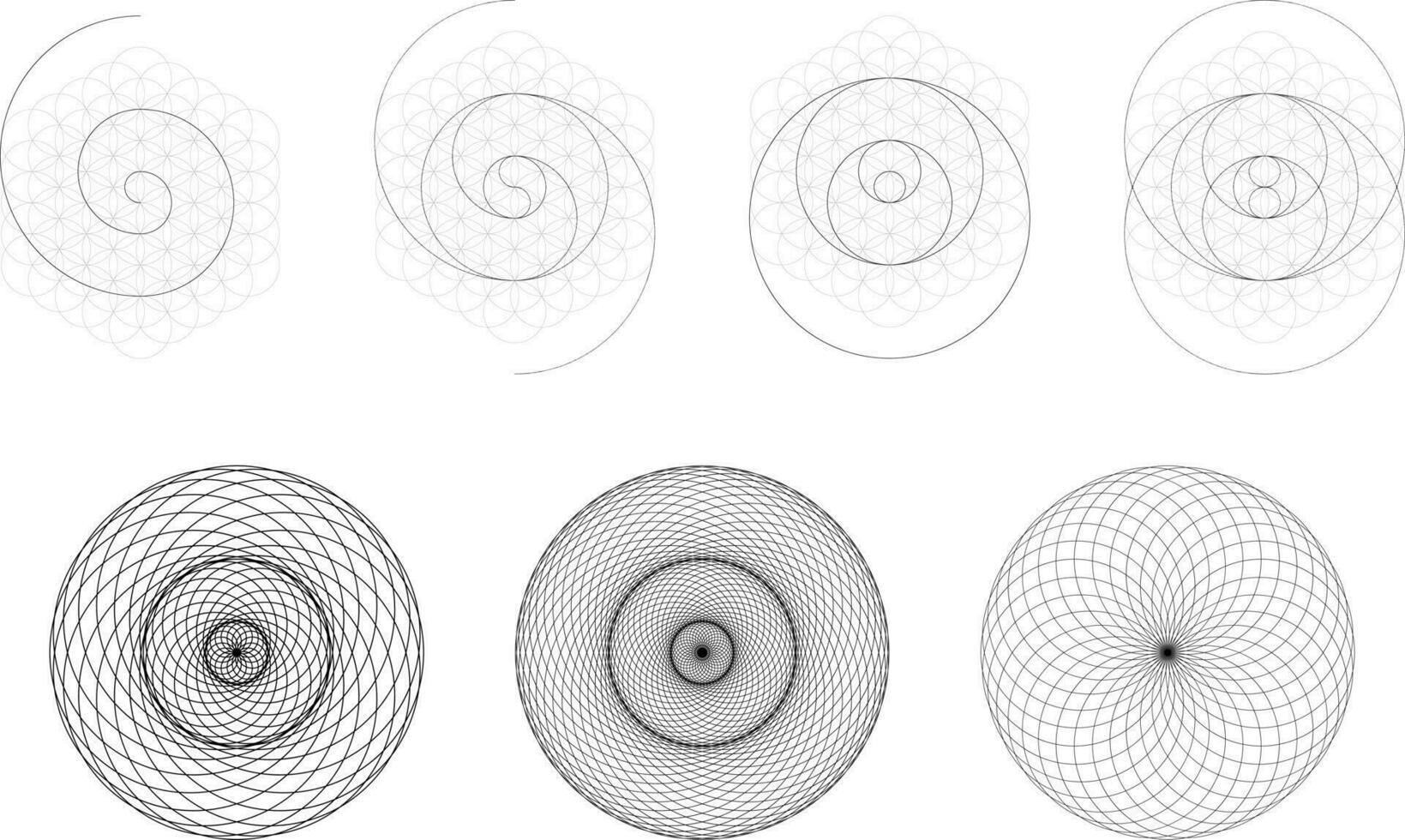 reeks van meetkundig elementen en vormen. heilig geometrie torus yantra of hypnotiserend oog ontwikkeling. vector ontwerpen