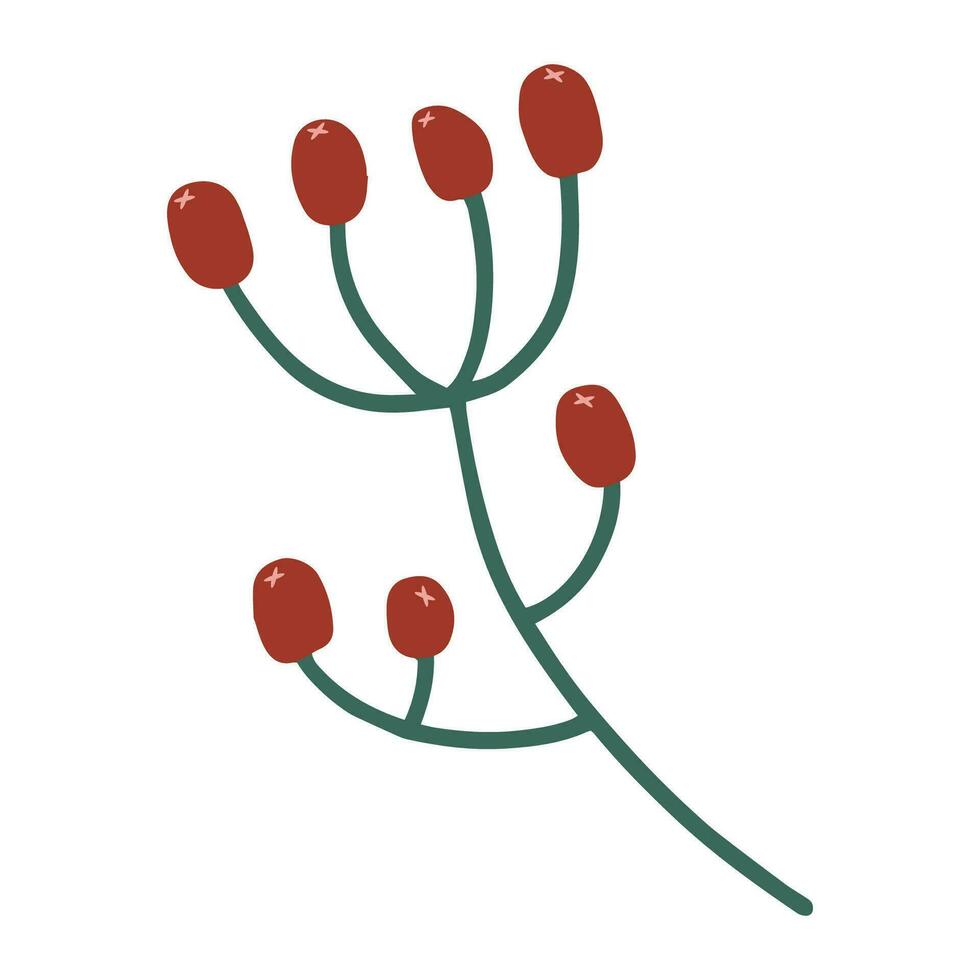 hand- getrokken vector clip art van lijsterbes Afdeling. Kerstmis decoratief bloemen element in tekening stijl