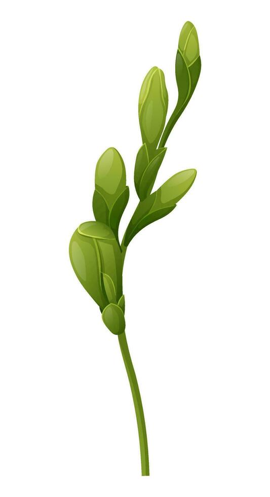 mooi Purper freesia bloem Aan een geïsoleerd achtergrond. ontwerp element voor bruiloft uitnodigingen, kaarten. wijnoogst bloemen van bloeiend freesia vector