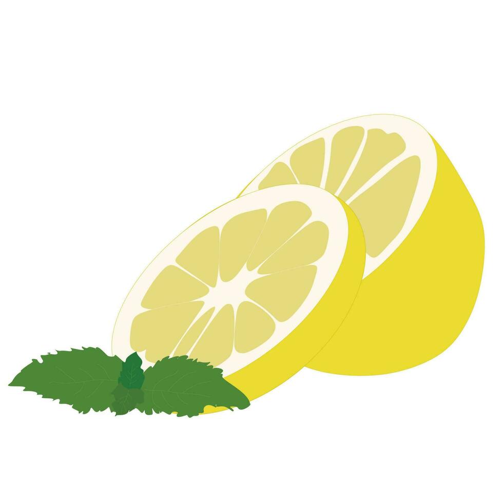 citroen met munt icoon, vector vlak stijl illustratie geïsoleerd Aan wit achtergrond. gesneden citrus