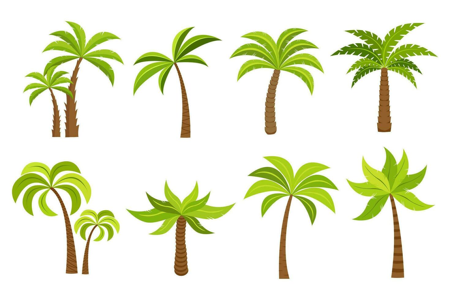 plam boom en kokosnoot bomen geïsoleerd Aan wit achtergrond vector