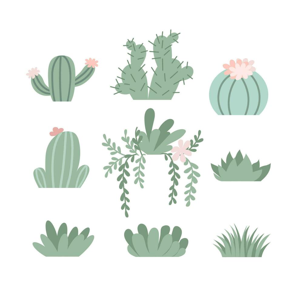 vector reeks van knus schattig cactussen en vetplanten. inspiratie citaten. huis tuinieren. huis planten. plantkunde decoratie in vlak stijl.