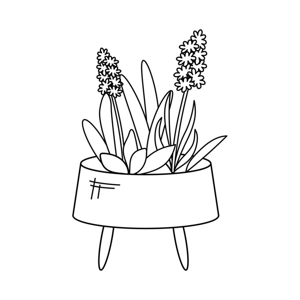 buitenshuis pot met hyacint bloemen, tuinieren. vector illustratie van tuin elementen. schets stijl.