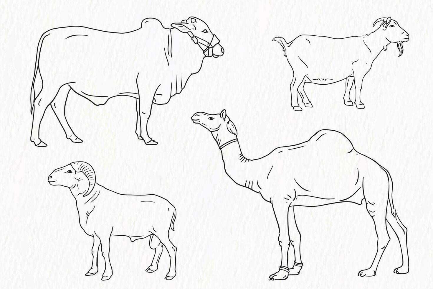 reeks van huiselijk dier lijn tekening. koe geit schapen en kameel voor qurbani vector