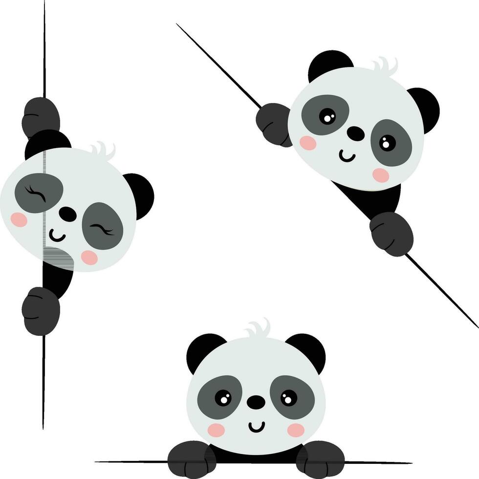 aanbiddelijk panda gluren uit van achter in divers standen vector