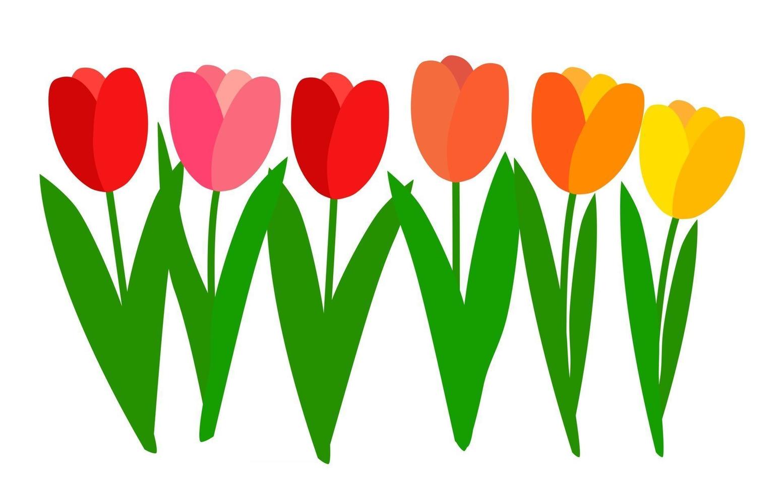 eenvoudige tulpenbloem vector