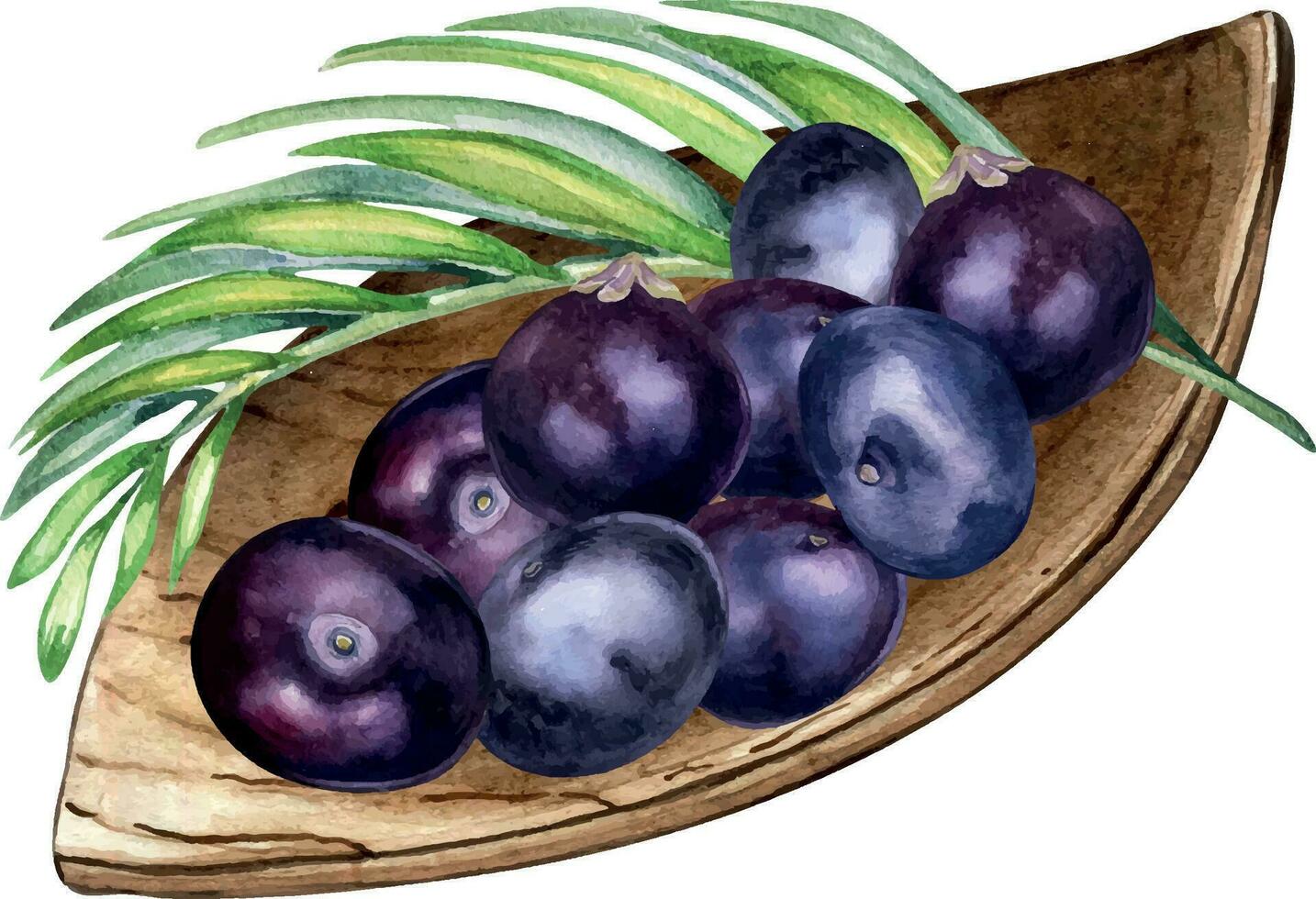 samenstelling van acai bessen Aan houten bord waterverf illustratie geïsoleerd Aan wit. exotisch amazon klein Purper bessen Aan blad vormig bord, palm bladeren hand- getrokken. ontwerp element voor verpakking vector