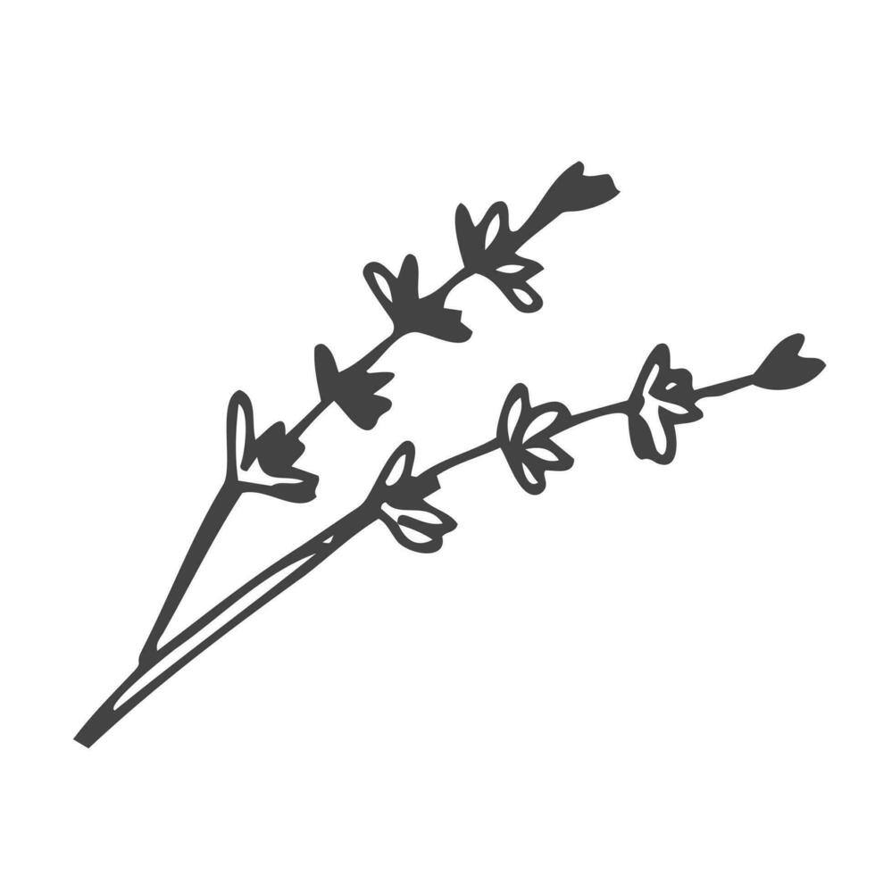 lavendel bundel met monochroom contouren, schetsen vector illustratie geïsoleerd Aan wit achtergrond. hand- getrokken tekening van botanisch element. lavendel bloemen