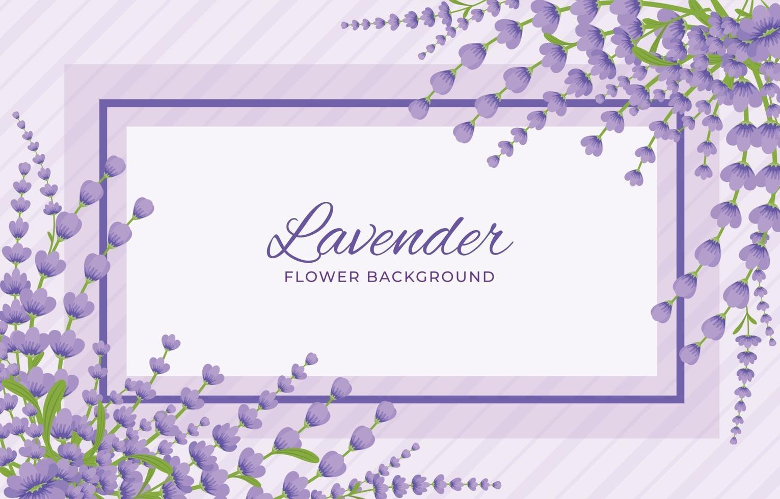 paarse lavendel achtergrond vector