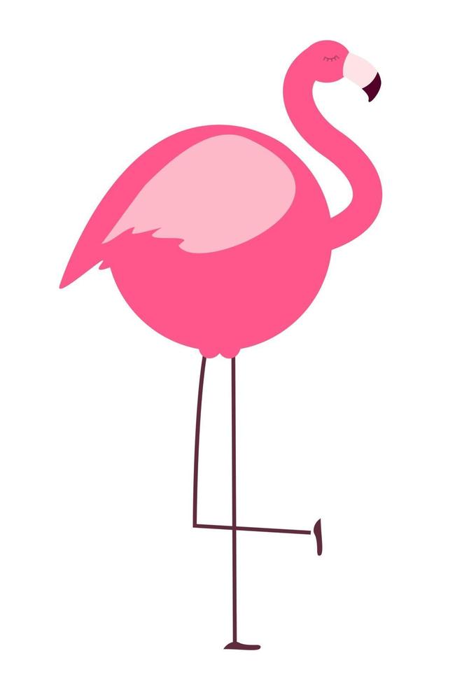 dikke flamingo op witte achtergrond vector