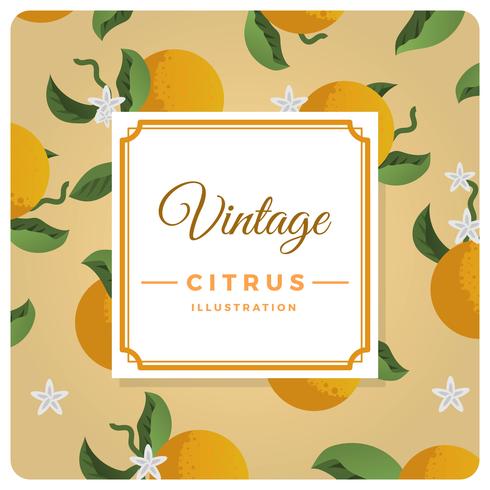 Platte Vintage Citrus achtergrond vectorillustratie vector