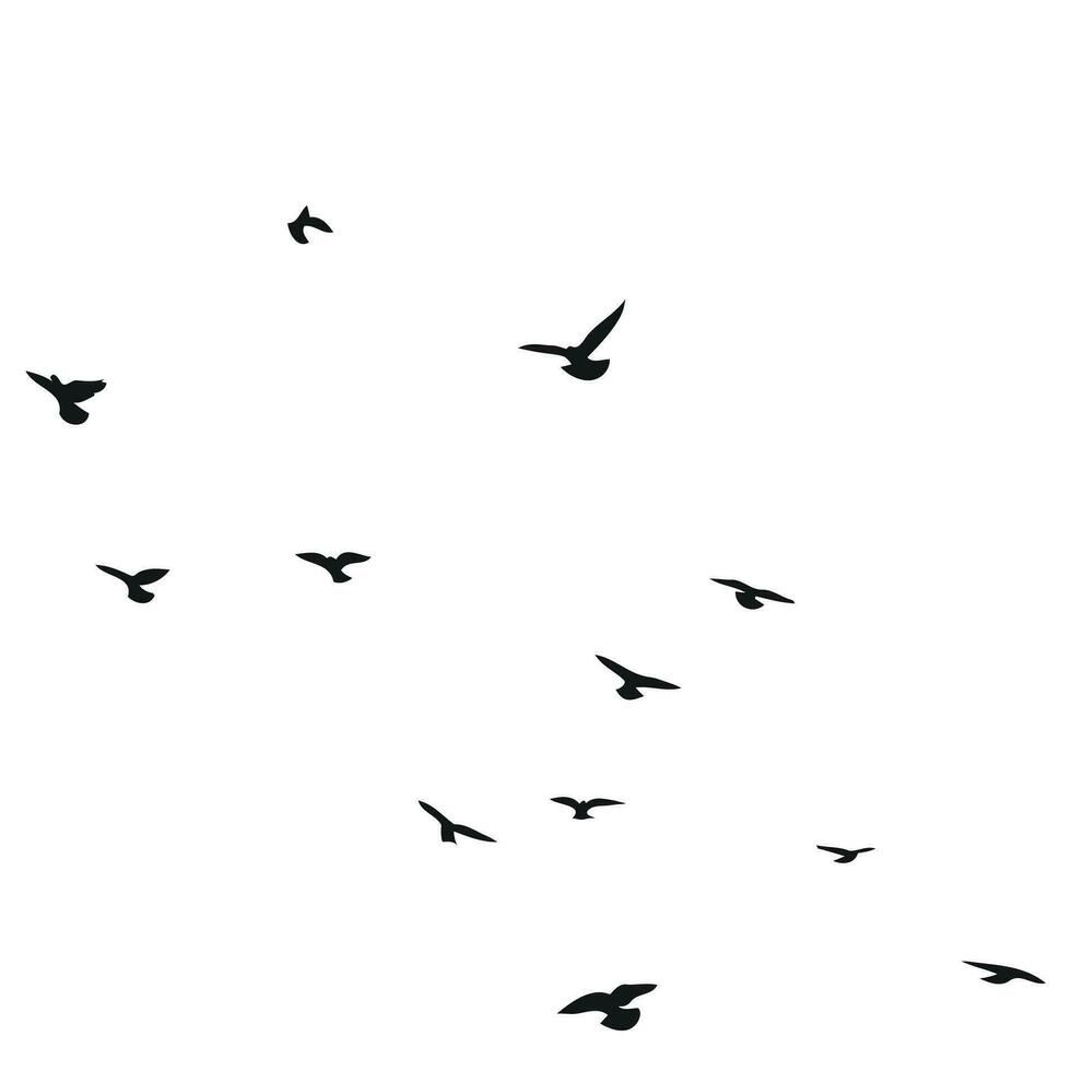 silhouet schetsen van een kudde van vliegend vogels, vlucht in verschillend posities. zweven, stijgende, landen, vliegen, fladderen vector