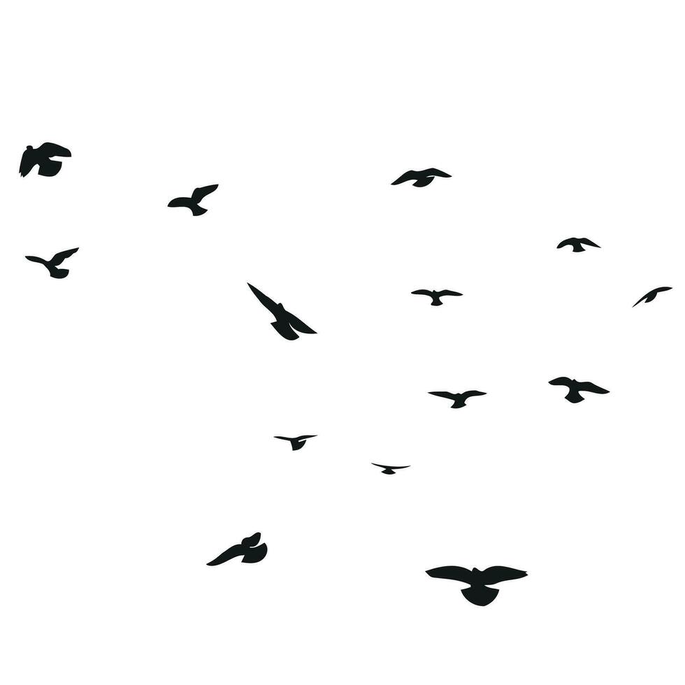 silhouet schetsen van een kudde van vliegend vogels, vlucht in verschillend posities. zweven, stijgende, landen, vliegen, fladderen vector