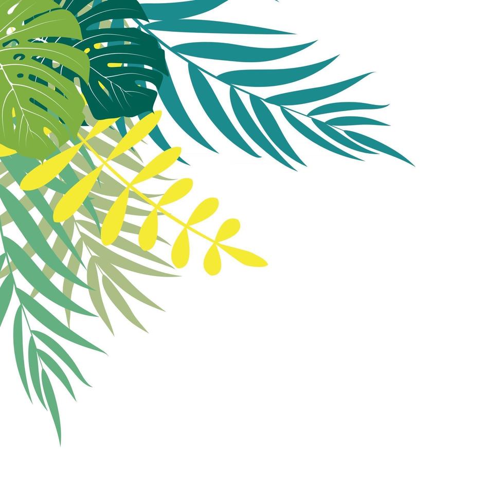 prachtige palmboom laat silhouet achtergrond vectorillustratie vector