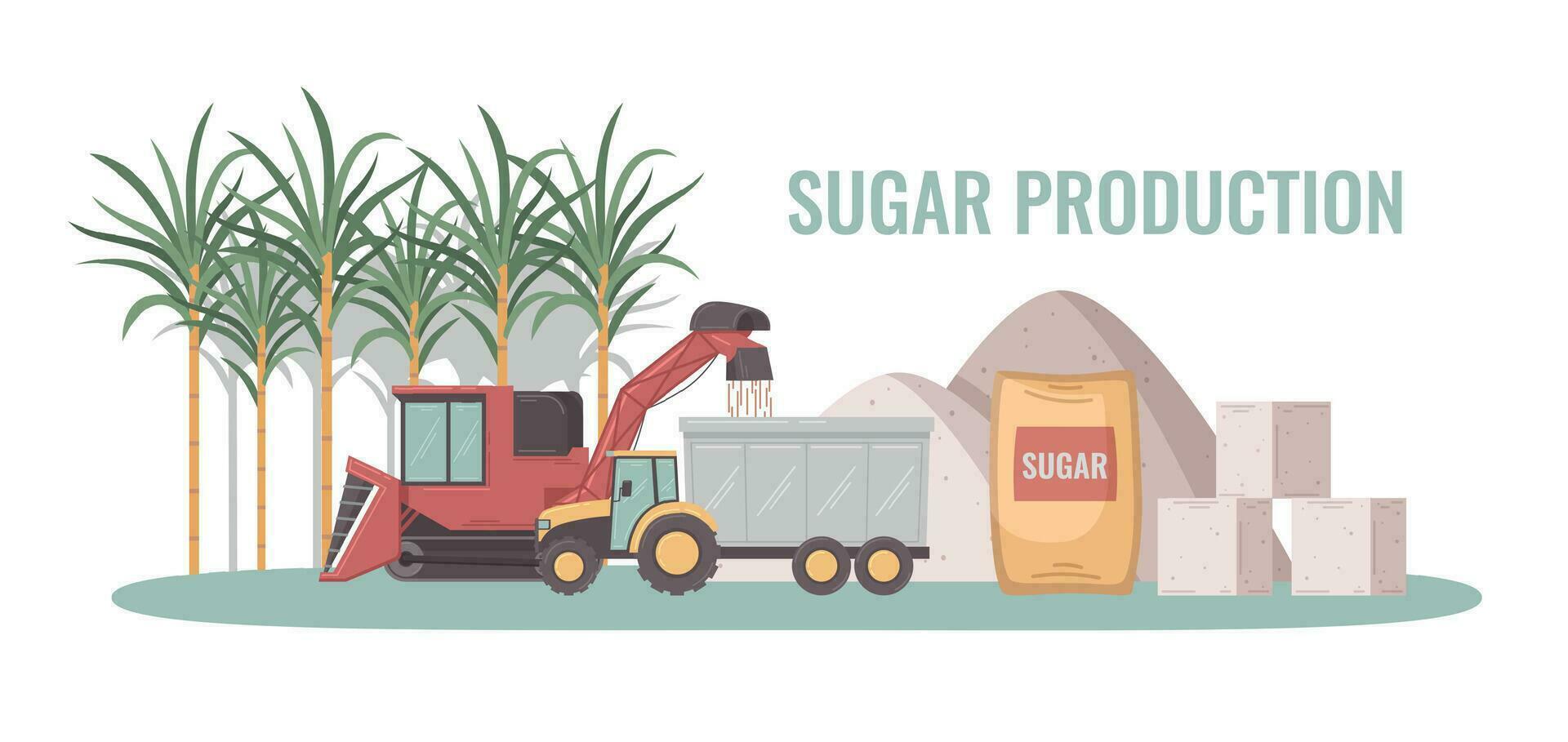 suiker productie concept vector