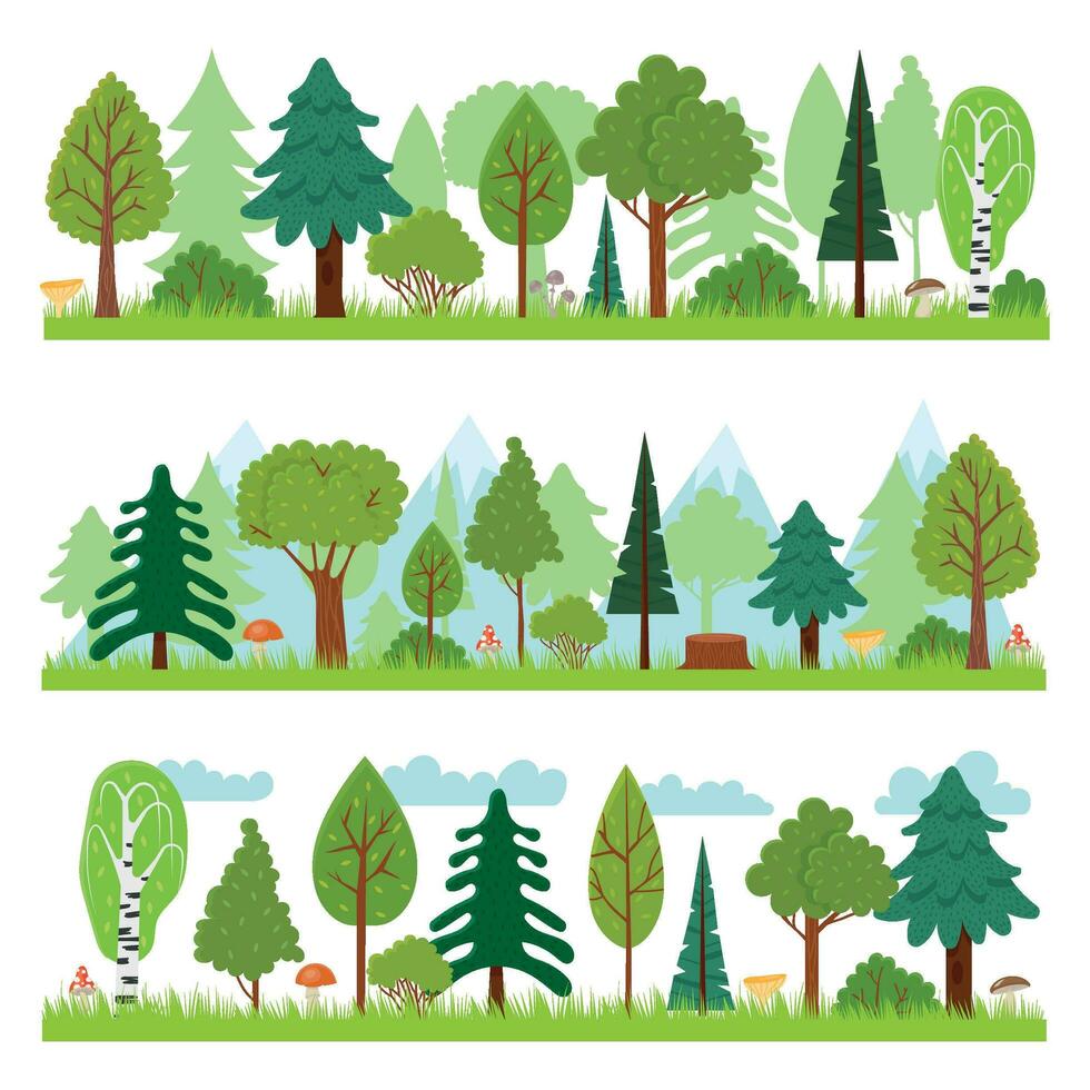 Woud landschappen. bos- natuur bomen panorama, bossen milieu en pijnboom boom vector illustratie
