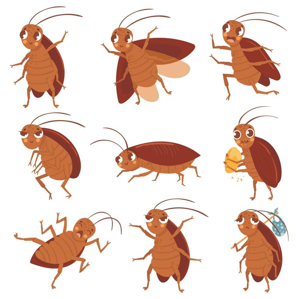 tekenfilm kakkerlak mascotte. boos kakkerlakken, insect ongedierte en bugs controle tekens vector illustratie set. grappig bruin kevers verzameling. verschillend schattig parasieten, dieren in het wild stickers pak