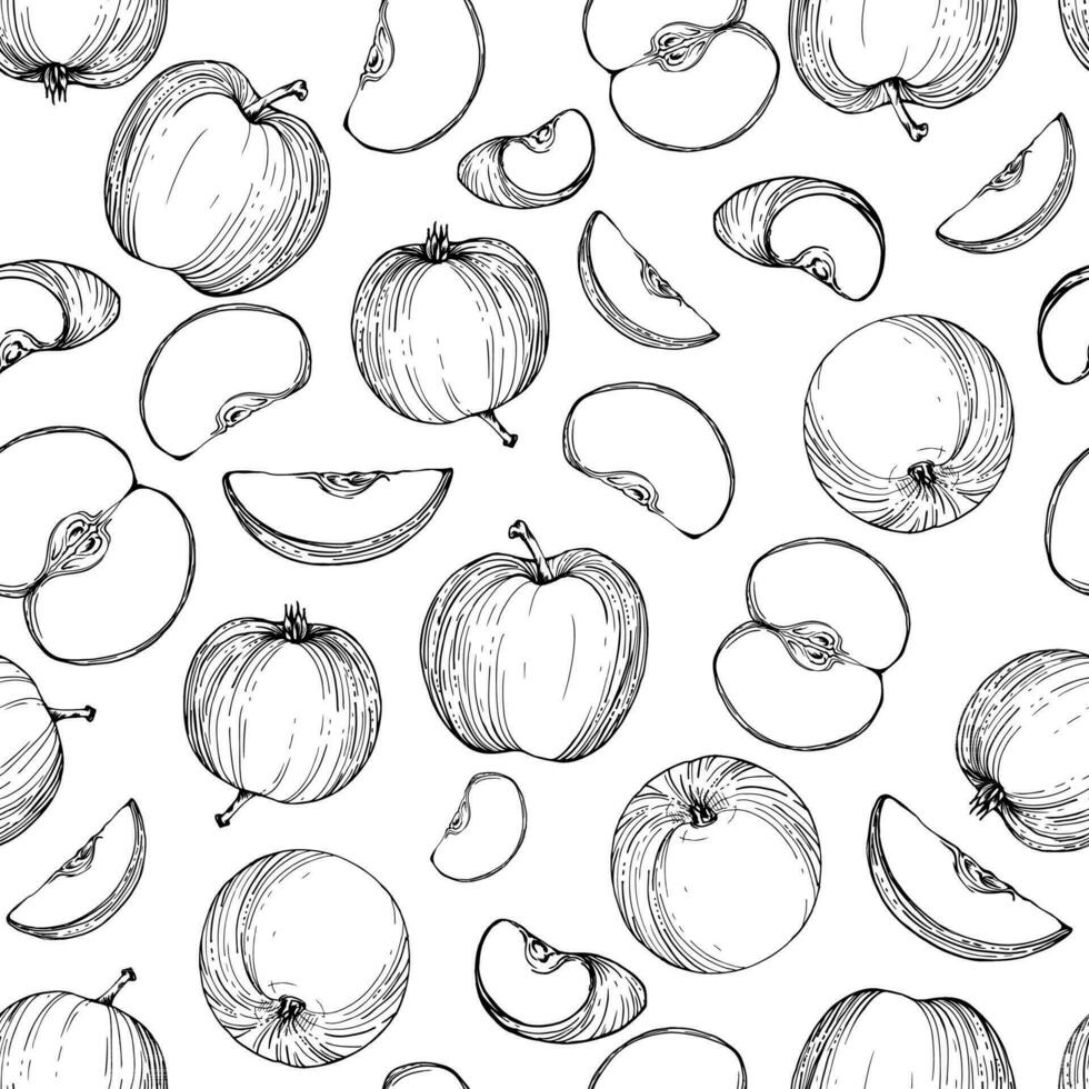 hand- getrokken inkt appel fruit, rijp, vol en plakjes monochroom vector, gedetailleerd schets. naadloos patroon. geïsoleerd voorwerp Aan wit achtergrond. ontwerp voor muur kunst, bruiloft, afdrukken, kleding stof, omslag, kaart. vector