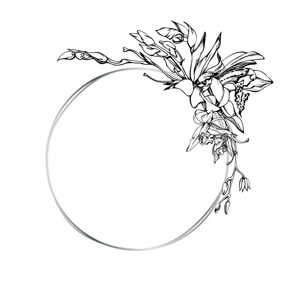 hand- getrokken vector inkt orchidee bloemen en takken, monochroom, gedetailleerd schets. cirkel krans samenstelling. geïsoleerd Aan wit achtergrond. ontwerp voor muur kunst, bruiloft, afdrukken, tatoeëren, omslag, kaart.