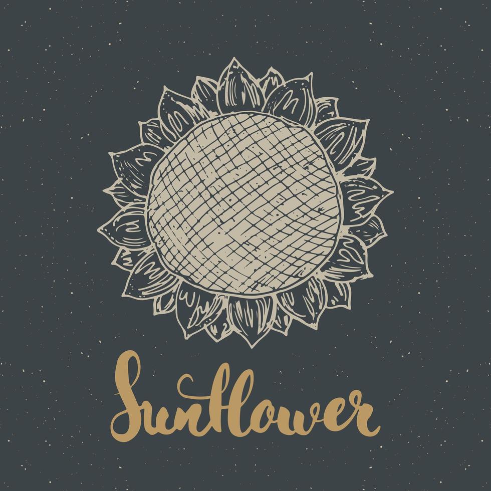 zonnebloem schets met belettering, vintage label, hand getrokken grunge getextureerde badge, retro logo sjabloon, typografie ontwerp vectorillustratie vector