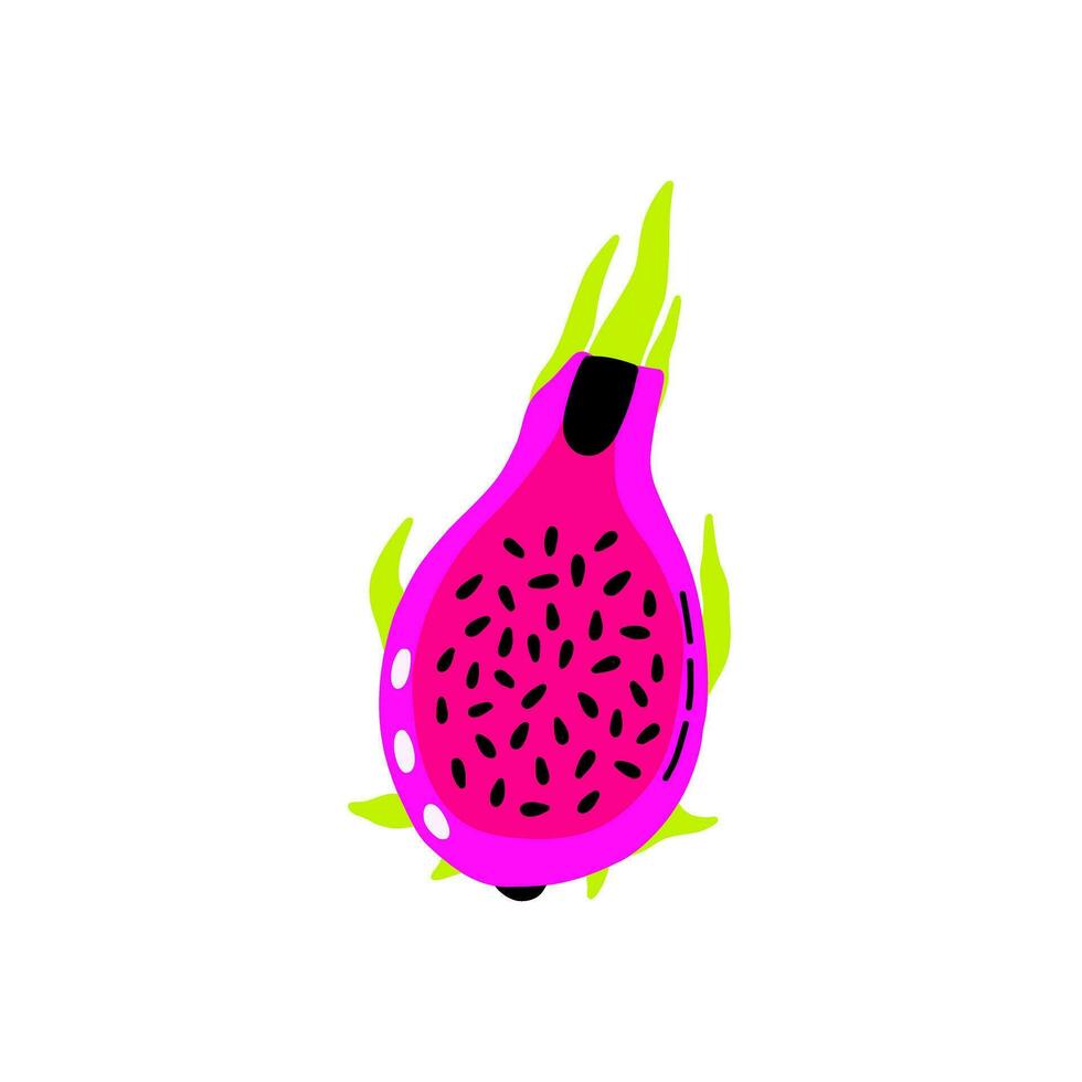 draak fruit pitaya vector